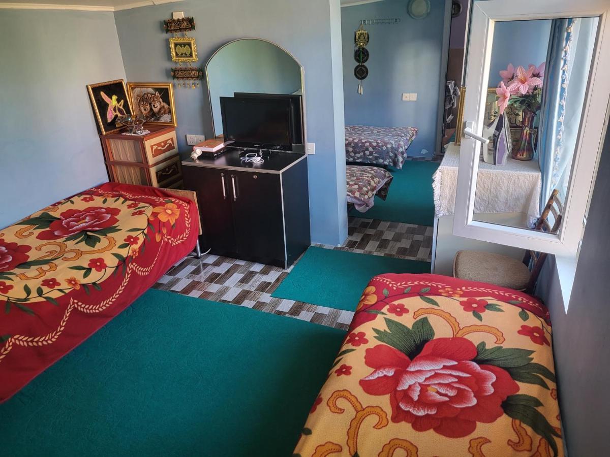 Gabala Garden Hostel Rum bild